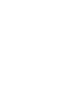 SSL Security